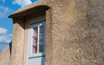 Sarnau thatch roof disadvantages